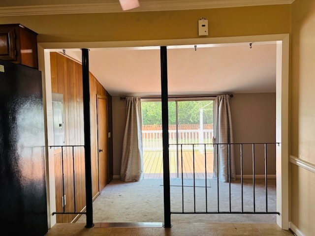 Gallery Photo 14